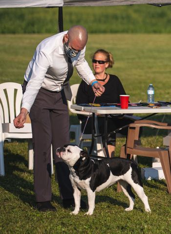 ABI Dog Shows - July 2021
