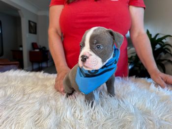 Green Collar
