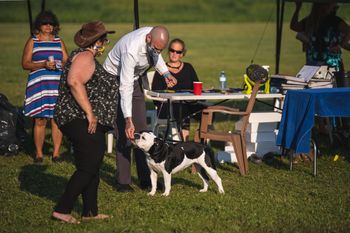 ABI Dog Shows - July 2021

