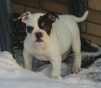 12 weeks
