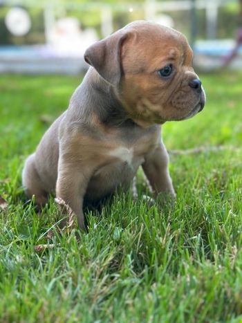 Hazel Mae
