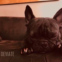 Deviate by The Rote