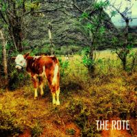 Stop Signs Are Turning Green (EP)  by The Rote