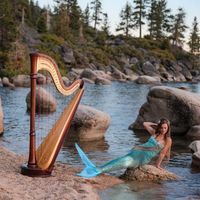 Harp Fest!