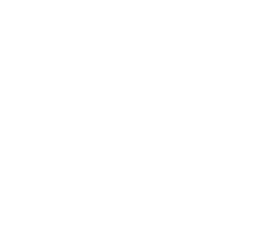 Lite Lee