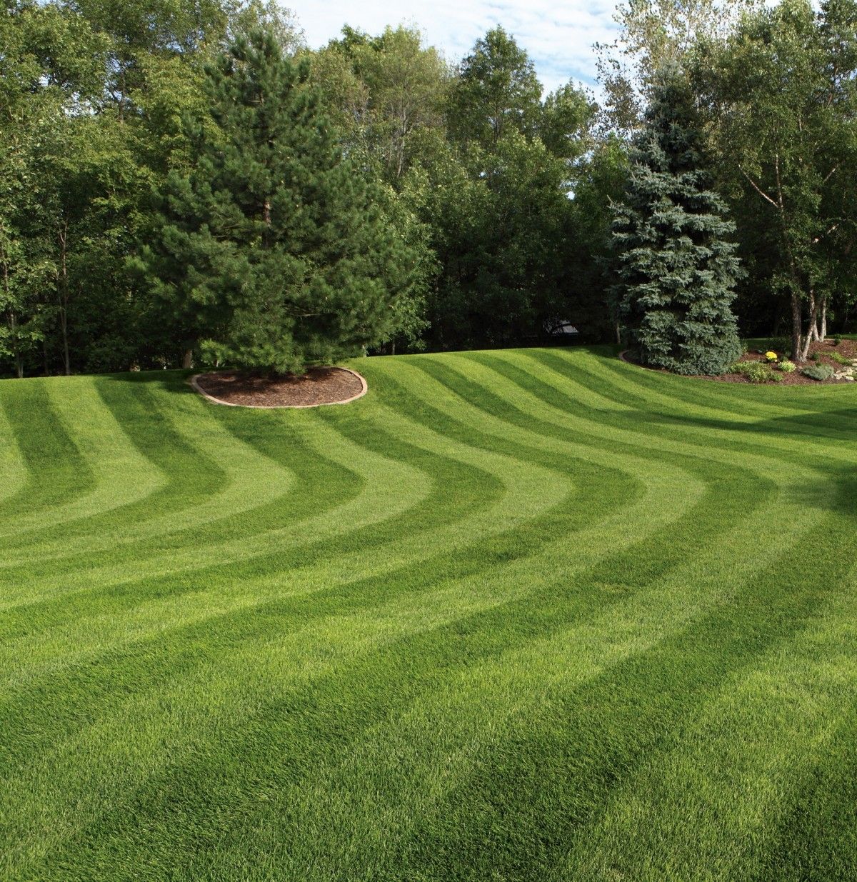 Lawn Care 