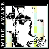 Wide Awake by Scott Gist