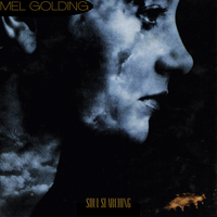 Soul Searching by Mel GOLDING