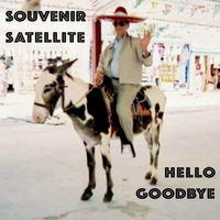 Hello Goodbye by Souvenir Satellite