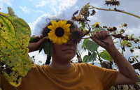 Sunflower Summit Album Preview Party!!