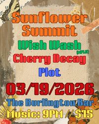 Plot x Sunflower Summit x Wish Wash x Cherry Decay