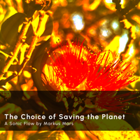 Sonic Flow: The Choice of Saving the Planet by Markus Mars