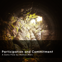 Sonic Flow: The Choice of Participation and Commitment by Markus Mars