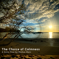 Sonic Flow: The Choice of Calmness by Markus Mars