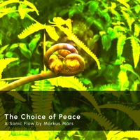 Sonic Flow: The Choice of Peace by Markus Mars