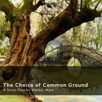 Sonic Flow: The Choice of Common Ground by Markus Mars