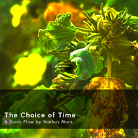 Sonic Flow: The Choice of Time by Markus Mars