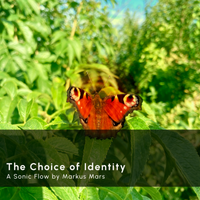 Sonic Flow: The Choice of Identity by Markus Mars