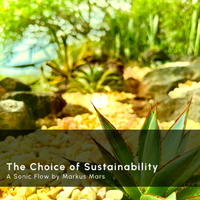 Sonic Flow: The Choice of Sustainability by Markus Mars