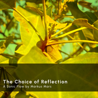 Sonic Flow: The Choice of Reflection by Markus Mars
