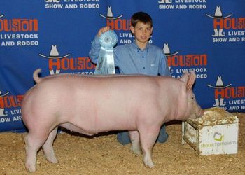 4th Place Heavy Weight @ Houston Livetock Show
