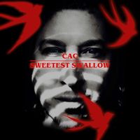 Sweetest Swallow by CAC- Carl Almasy Coccaro