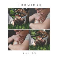 Hormigas  de Val Rx
