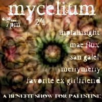 Palestine Benefit Show 