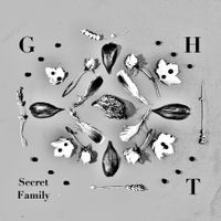 Runaway by Secret Family