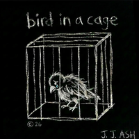 Bird in a Cage by J. J. ASH