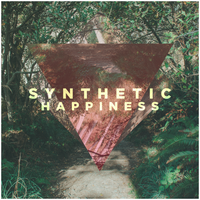 Synthetic Happiness by ANKI XO