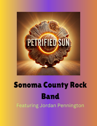 Petrified Sun 
