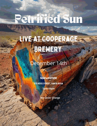 Petrified Sun