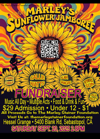 Petrified Sun - Marley's Sunflower Jamboree Fundraiser