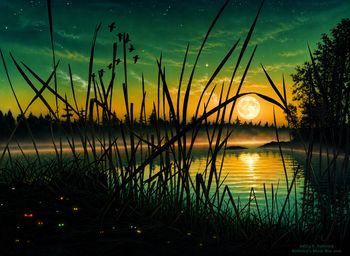 Swamp Party - Jeffry R. Rothrock-circa 1984
