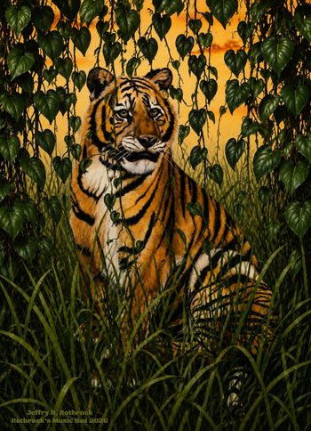 Tiger IV - Jeffry R. Rothrock - circa 1982
