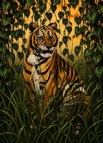 Tiger IV -airbrush circa 1984
