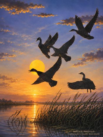 Ducks On The Water - Jeffry R. Rothrock - circa 1978
