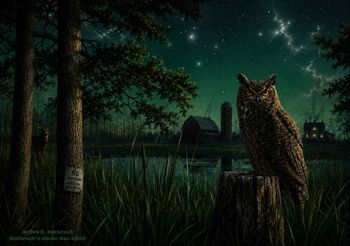 The Barn Owl - Jeffry R. Rothrock -circa 1982
