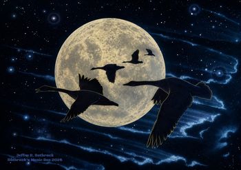 Night Flight - Jeffry R. Rothrock - circa 1977

