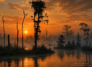 Swamp Music - Jeffry R. Rothrock circa 1986
