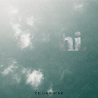 Hi. by Ceiling Wine