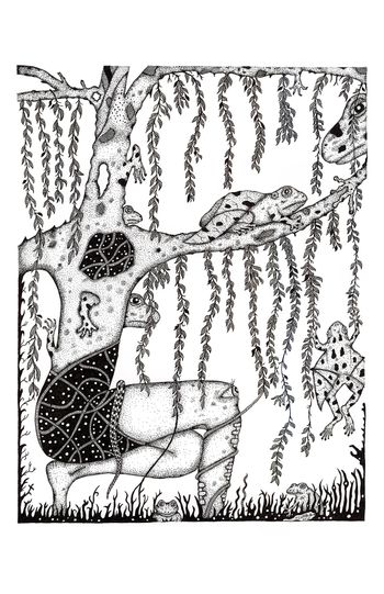 Willow
Original 16x20 /
Print 11x17
