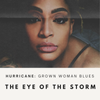 Hurricane Crowd Funding: The Eye of the Storm