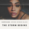 Hurricane Crowd Funding: The Storm Begins