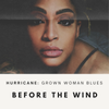 Hurricane Crowd Funding: Before the Wind