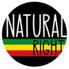Large Circle Logo