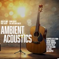 Dan Napper+ Friends Ambient Acoustics