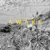 Awake (A Major Motion Soundtrack)
