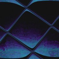 Photic/Littoral by Noah Crist